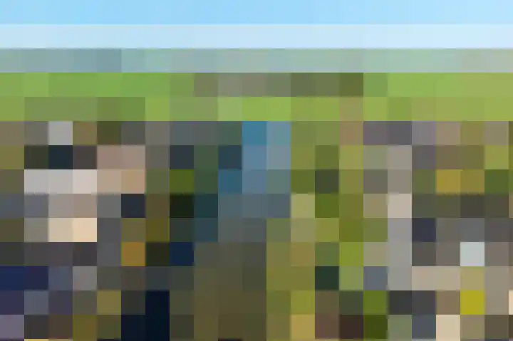 De Golle 14 Mantgum thumbnail 32