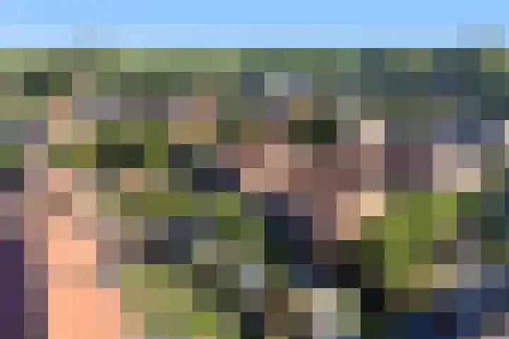 De Golle 14 Mantgum thumbnail 33
