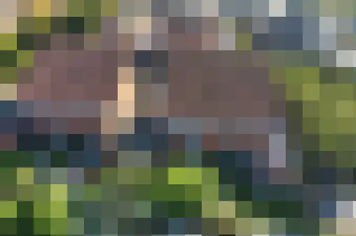 De Golle 14 Mantgum thumbnail 34