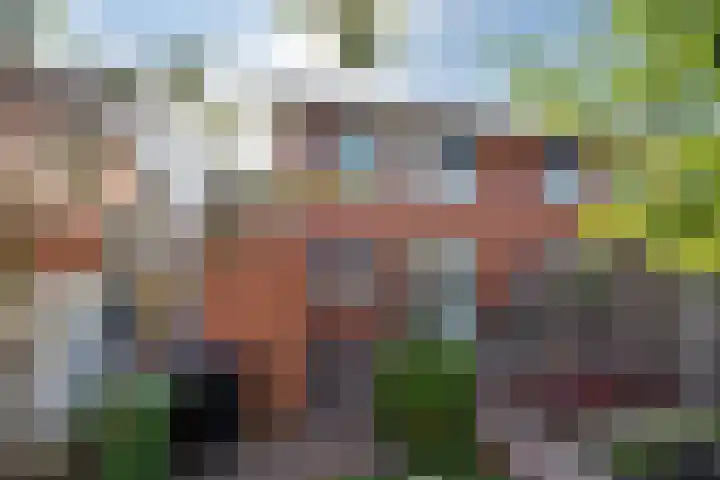 De Golle 14 Mantgum thumbnail 39