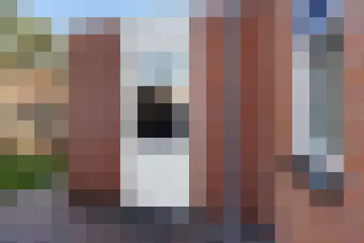 De Golle 14 Mantgum thumbnail 40