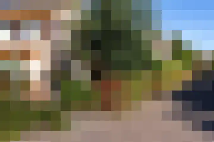 De Golle 14 Mantgum thumbnail 41