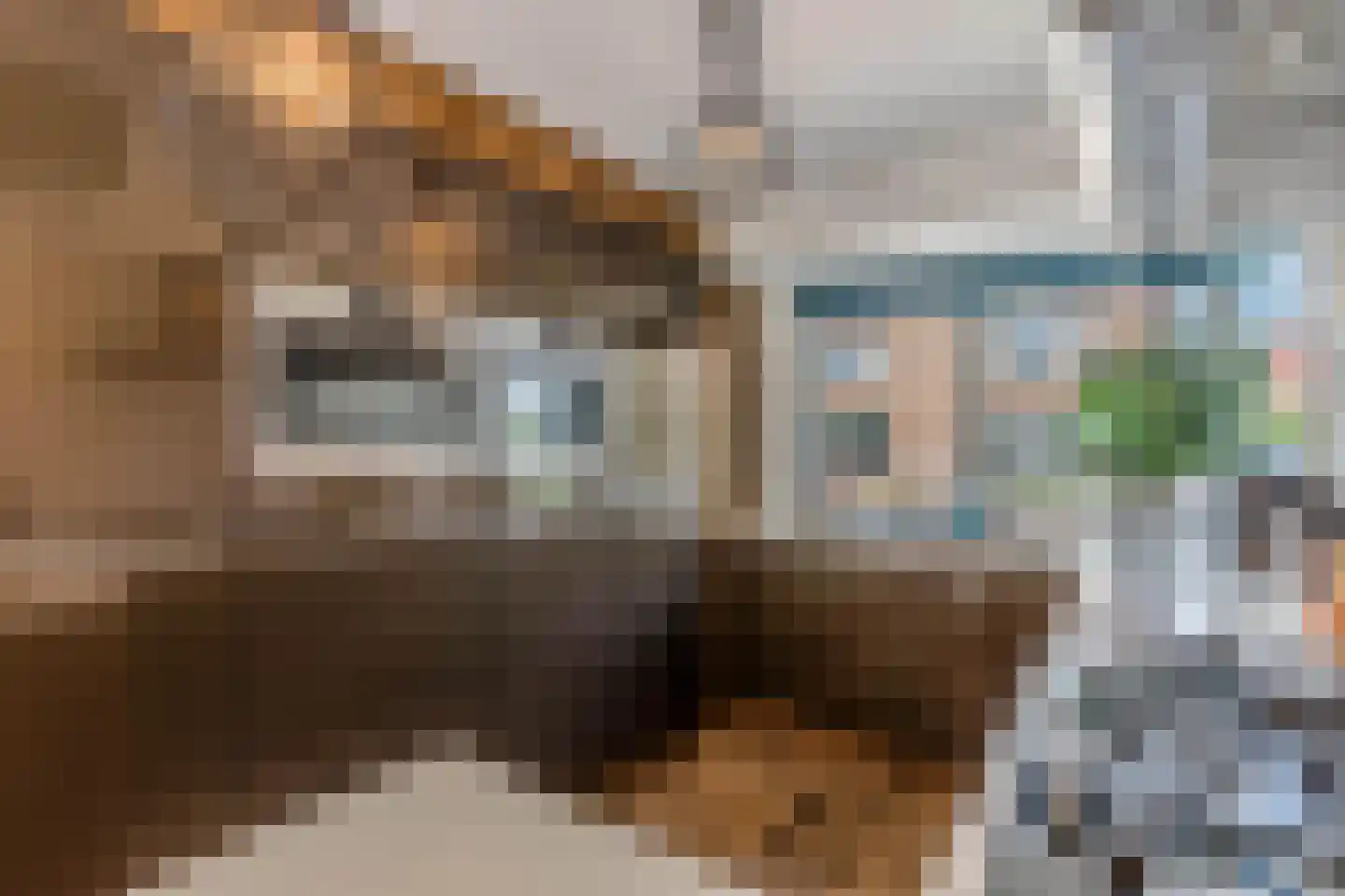 De Golle 3 Mantgum thumbnail 12