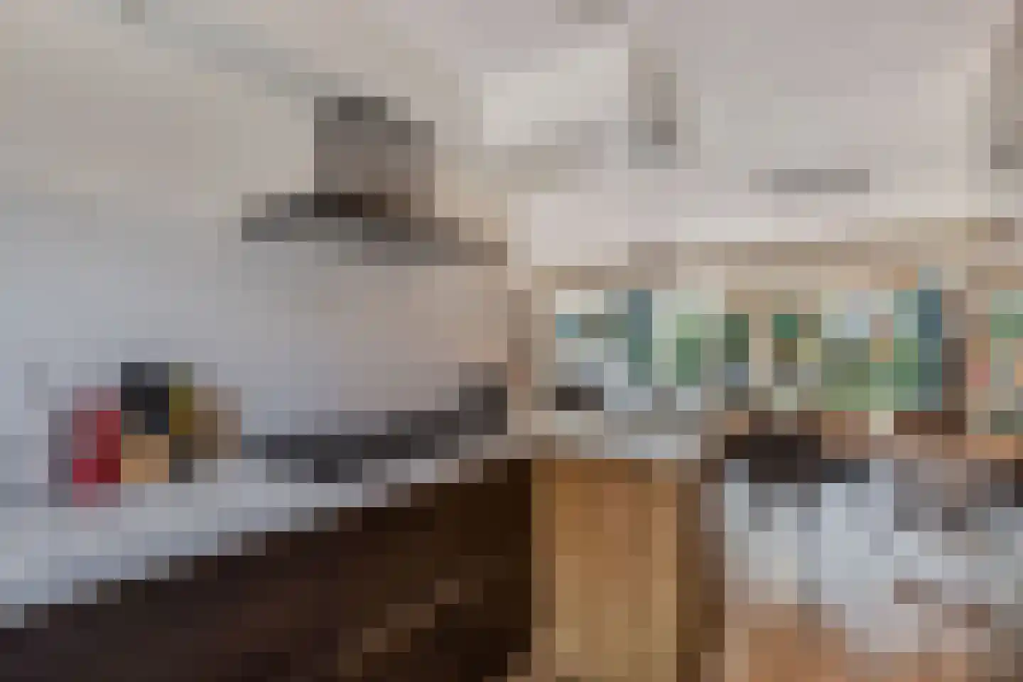 De Golle 3 Mantgum thumbnail 14