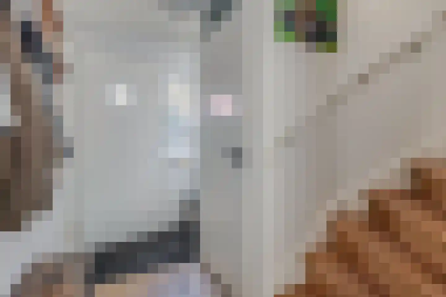De Golle 3 Mantgum thumbnail 25