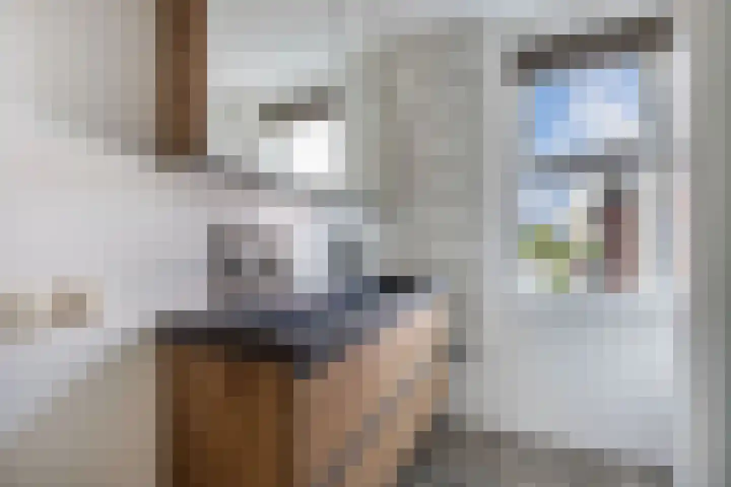 De Golle 3 Mantgum thumbnail 31