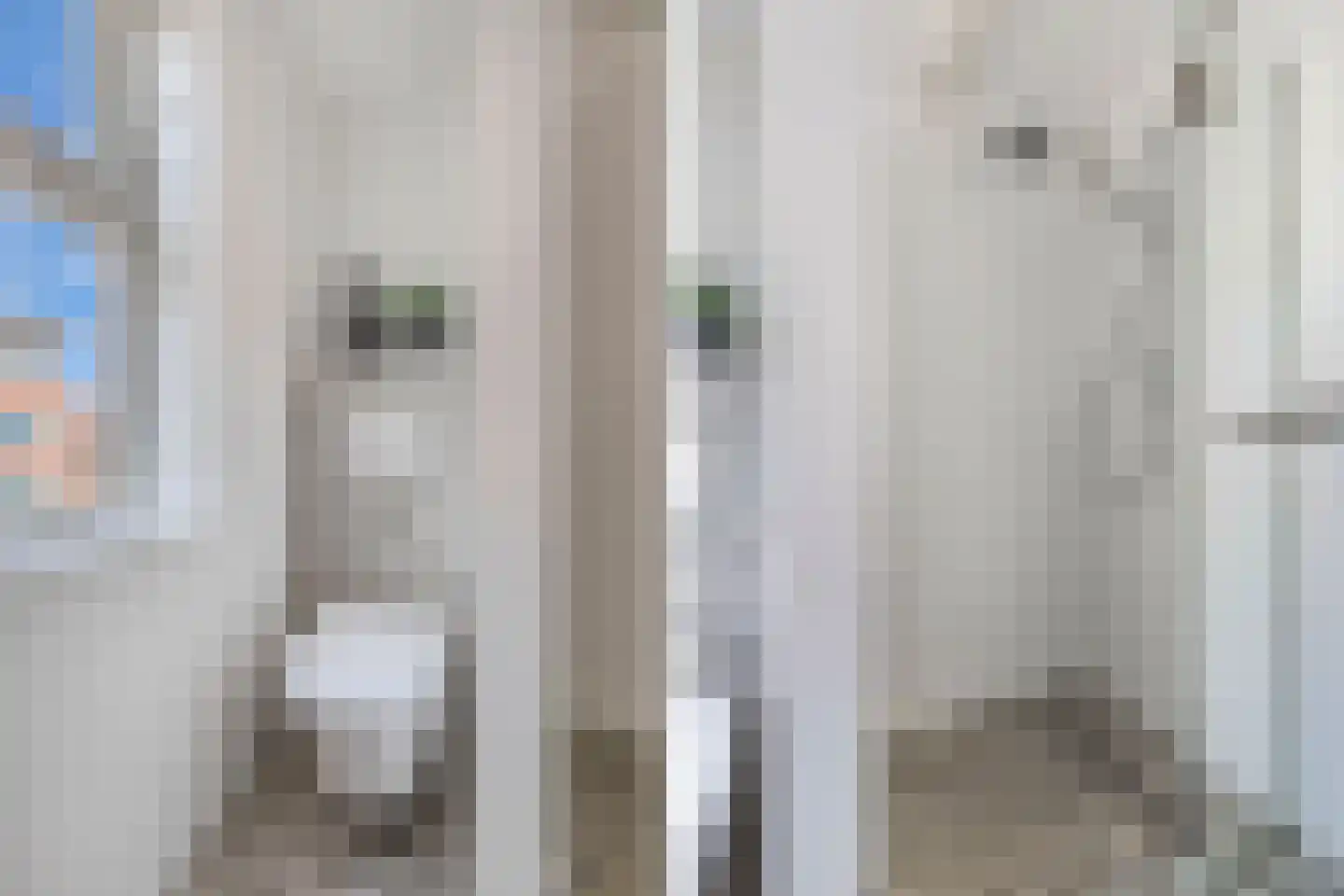De Golle 3 Mantgum thumbnail 32