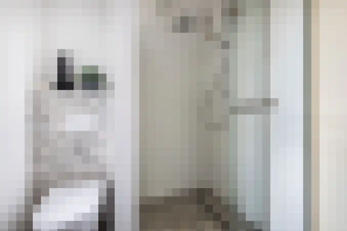 De Golle 3 Mantgum thumbnail 33
