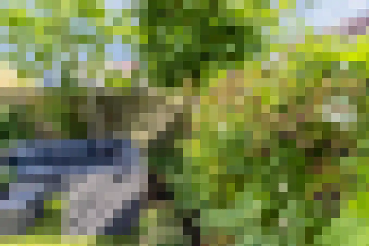 De Golle 3 Mantgum thumbnail 47