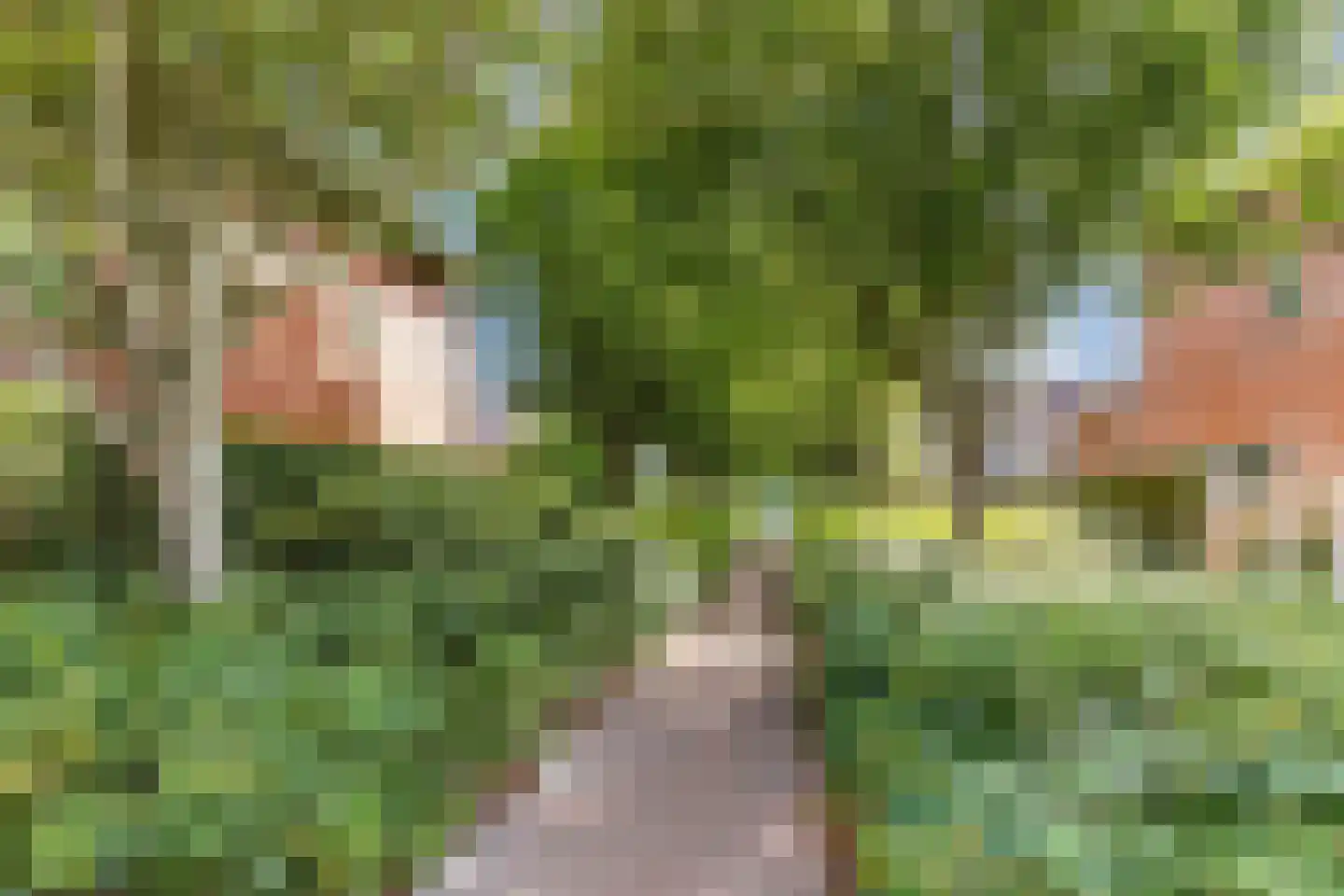 De Golle 3 Mantgum thumbnail 53