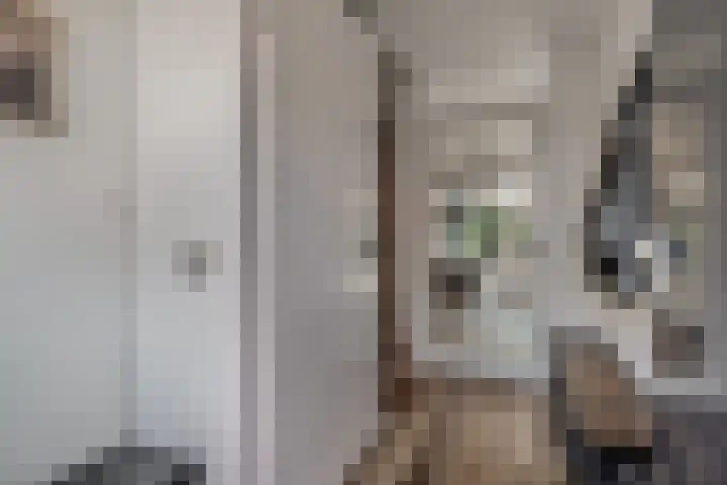 De Golle 3 Mantgum thumbnail 8