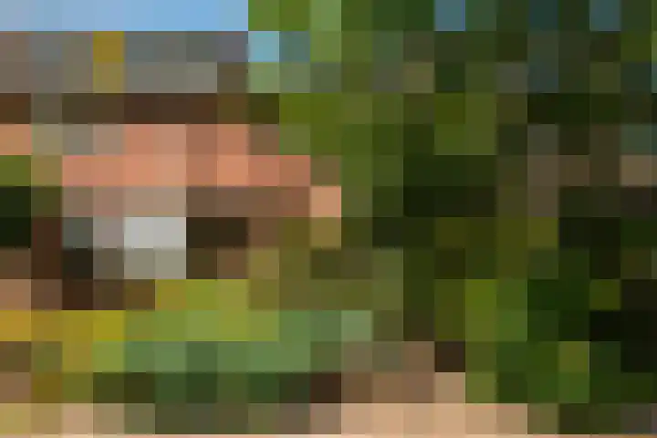de Gondel 2 Baarn thumbnail 40