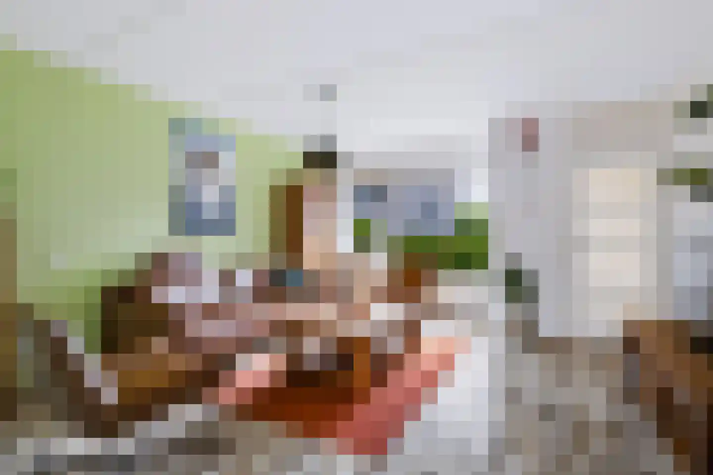 de Gondel 7 Baarn thumbnail 4