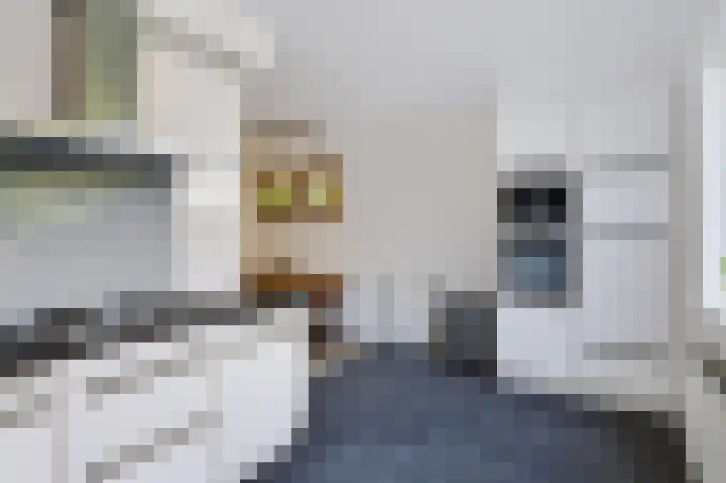 de Gondel 7 Baarn thumbnail 9
