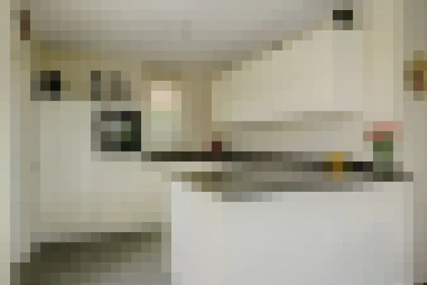 De Gonzer 7 Wervershoof thumbnail 15