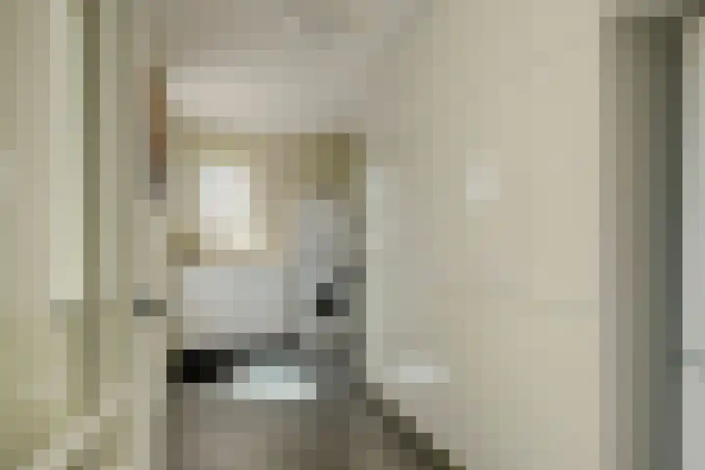 De Gonzer 7 Wervershoof thumbnail 18