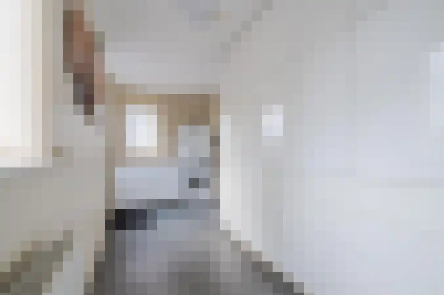 De Gonzer 7 Wervershoof thumbnail 20