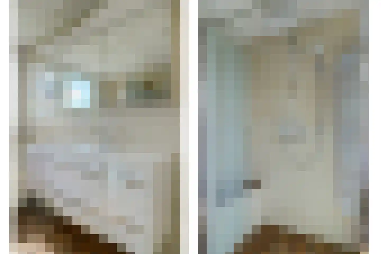 De Gonzer 7 Wervershoof thumbnail 33