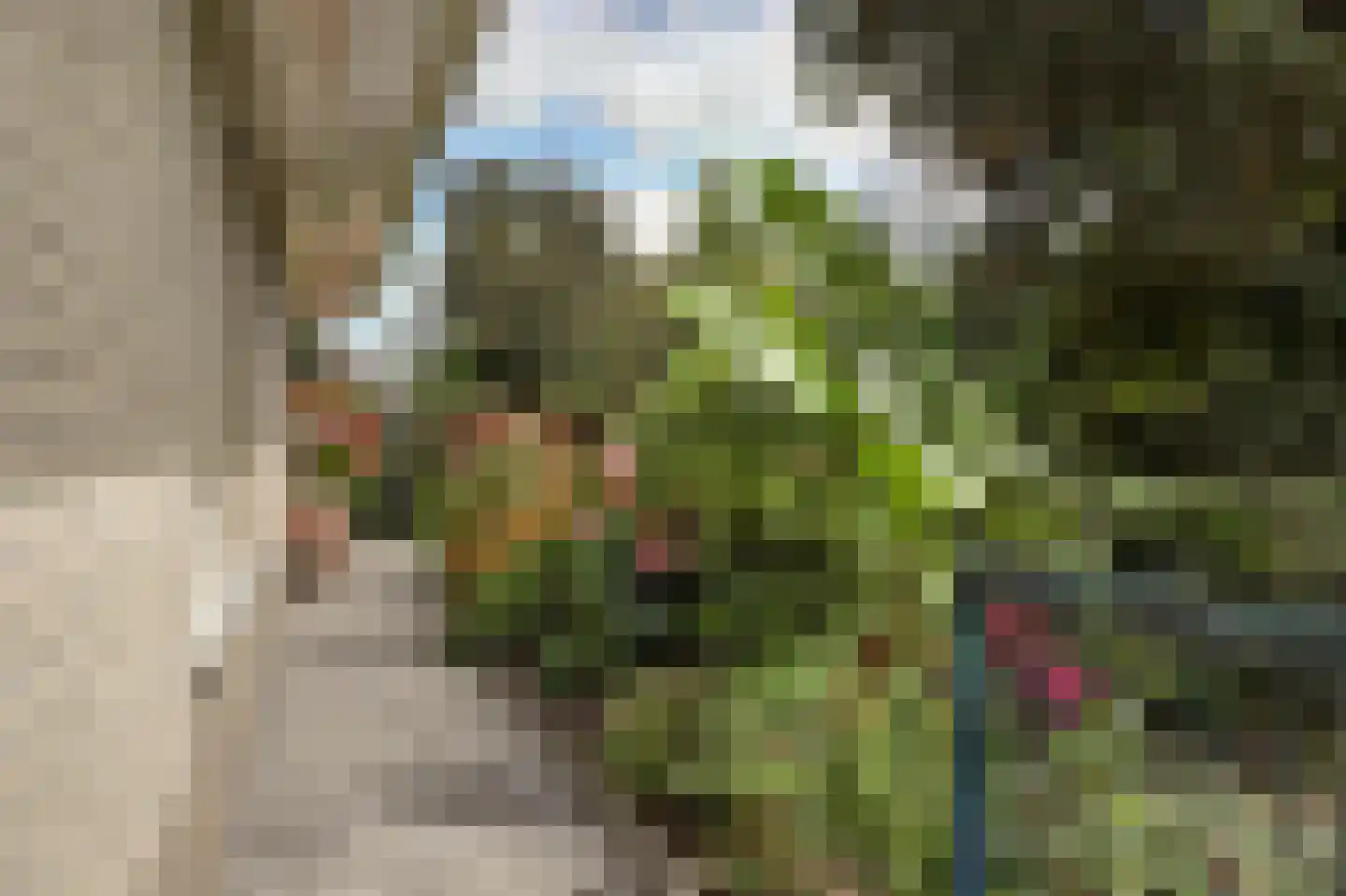 De Gonzer 7 Wervershoof thumbnail 37