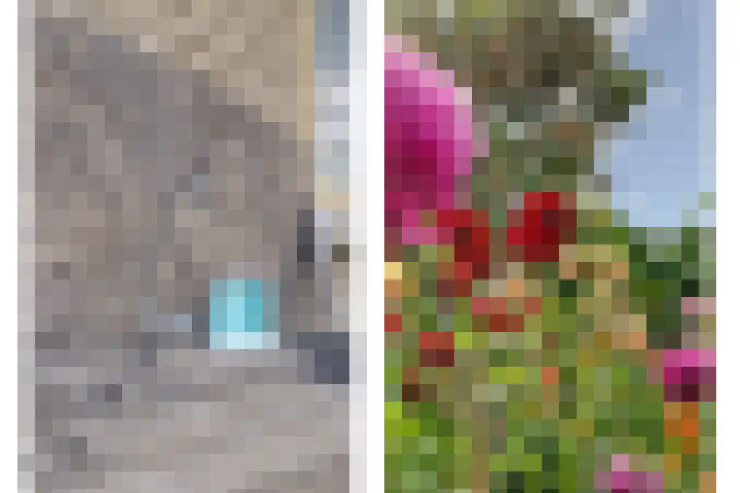 De Gonzer 7 Wervershoof thumbnail 39
