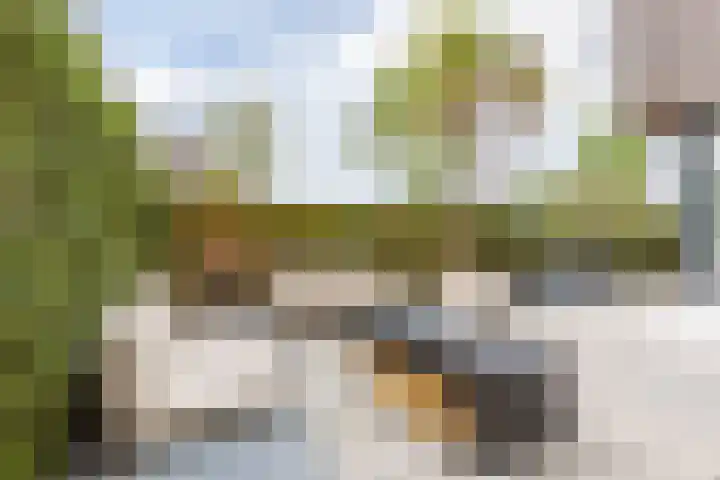 De Gooijerlaan 11 Blaricum thumbnail 29