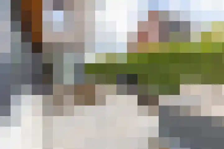 De Gooijerlaan 11 Blaricum thumbnail 30
