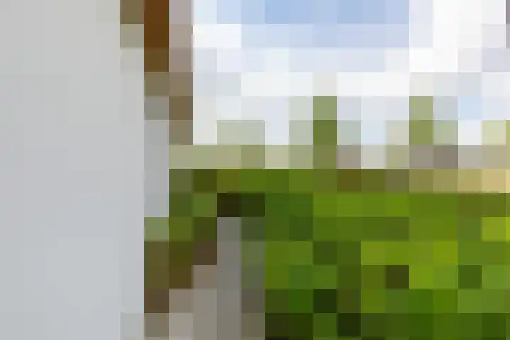 De Gooijerlaan 11 Blaricum thumbnail 33