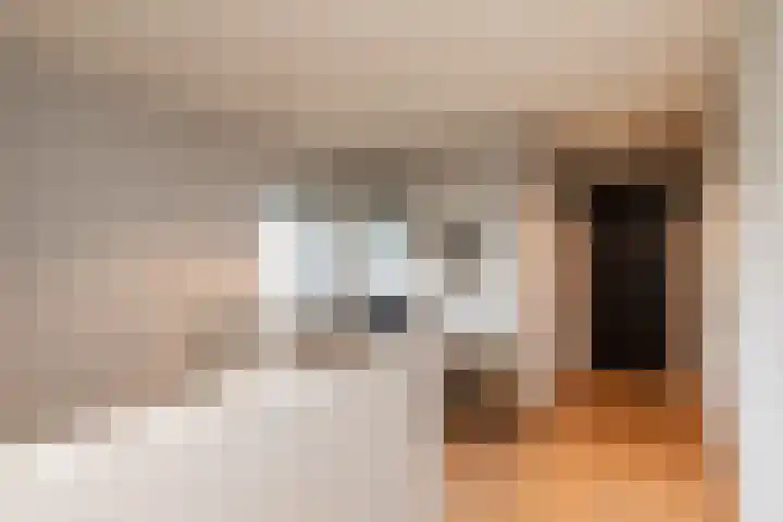 De Gooijerlaan 11 Blaricum thumbnail 35