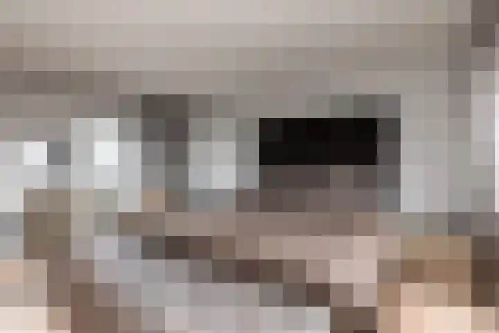 De Gooijerlaan 11 Blaricum thumbnail 40