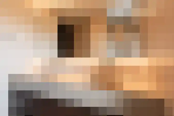 De Gooijerlaan 11 Blaricum thumbnail 56