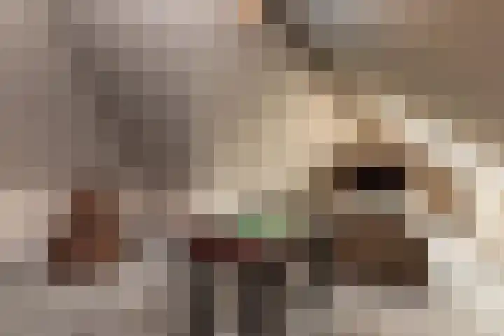 De Gooijerlaan 11 Blaricum thumbnail 62
