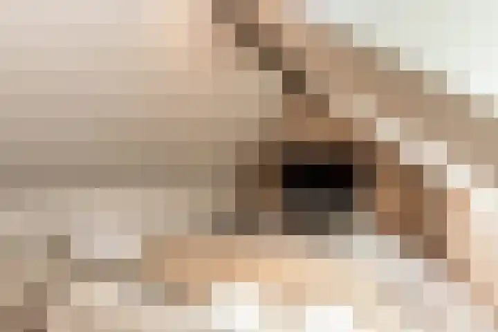 De Gooijerlaan 11 Blaricum thumbnail 63