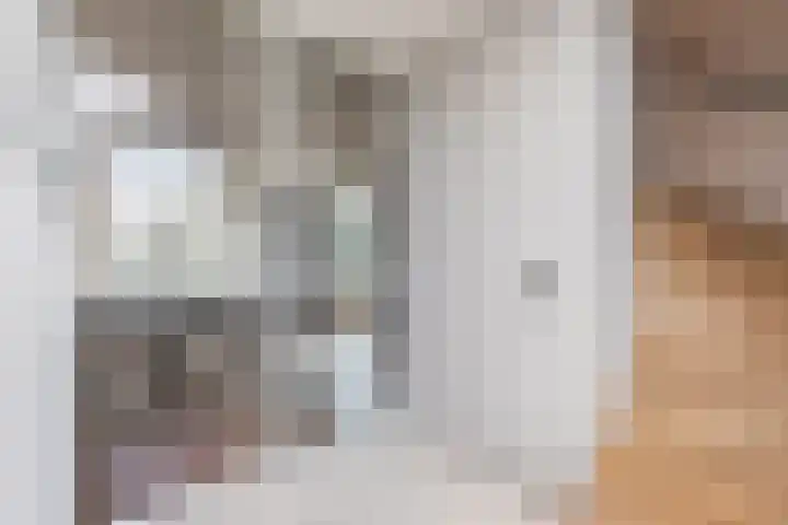 De Gooijerlaan 11 Blaricum thumbnail 8