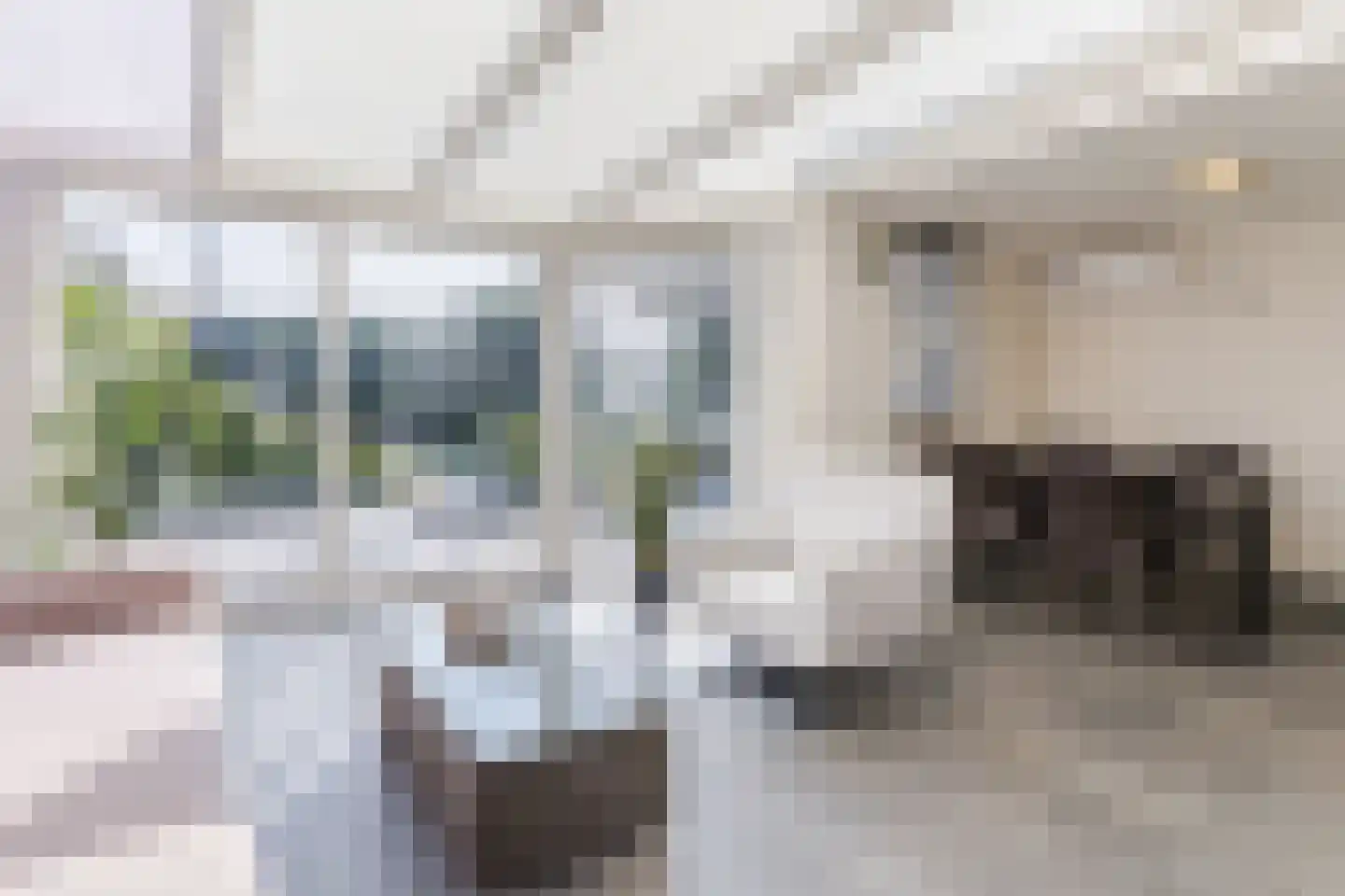De Goolder 24 Veldhoven thumbnail 14