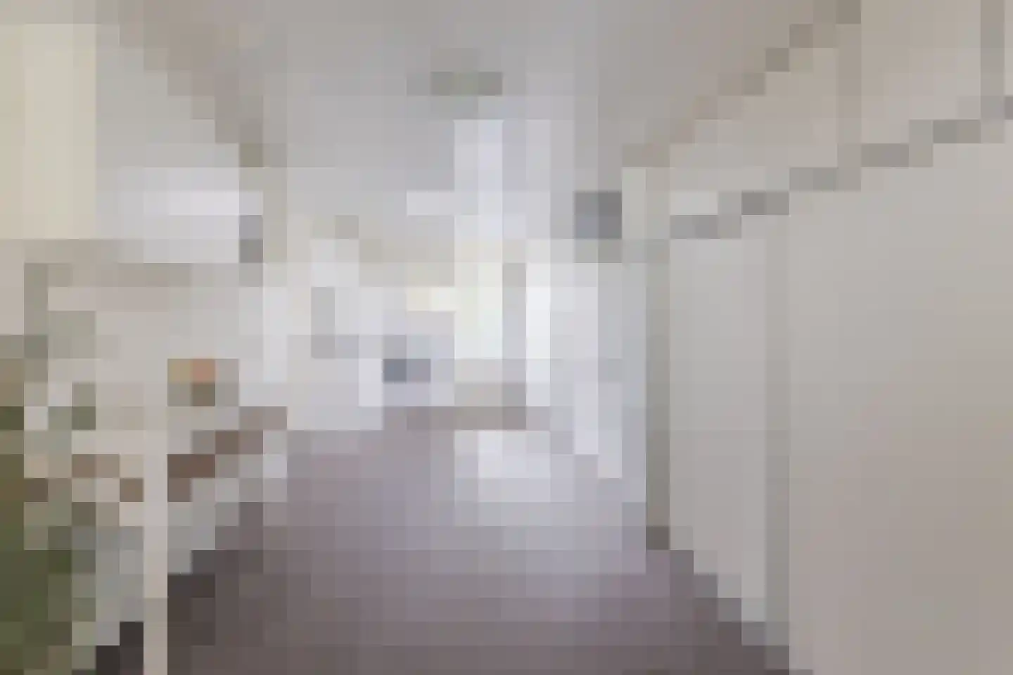 De Goolder 24 Veldhoven thumbnail 15