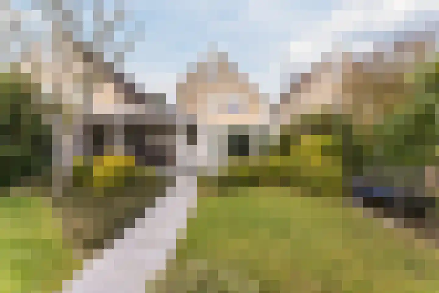 De Goolder 24 Veldhoven thumbnail 26