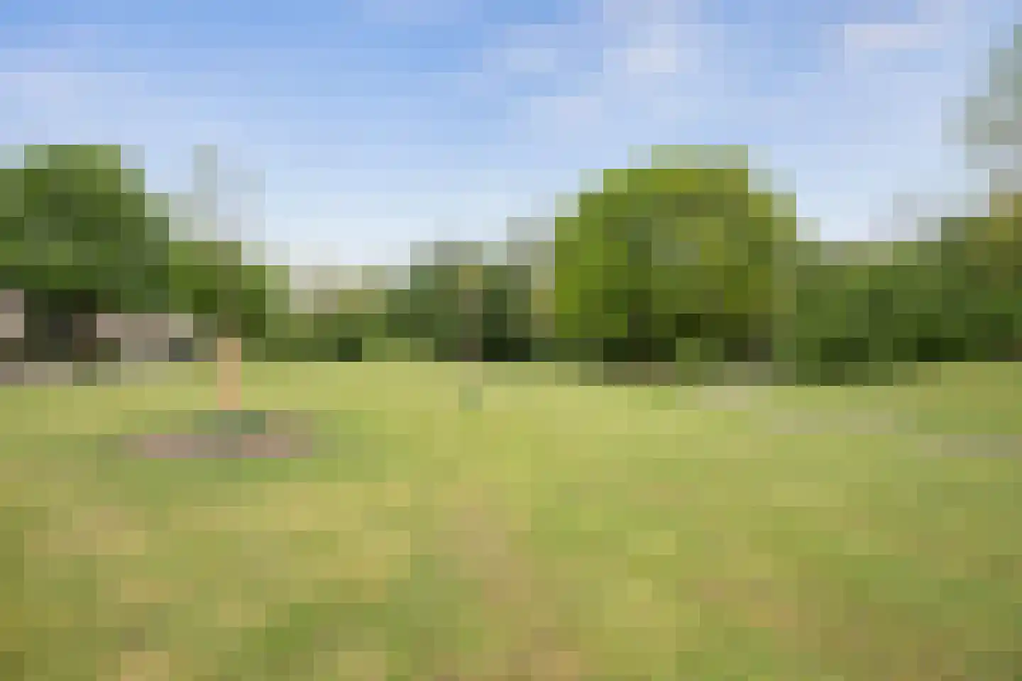 De Goolder 24 Veldhoven thumbnail 28