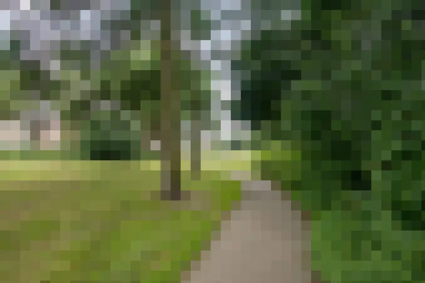 De Goolder 24 Veldhoven thumbnail 29