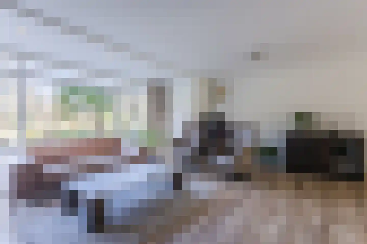 De Goolder 24 Veldhoven thumbnail 8