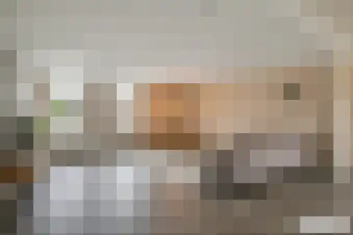 De Goorn 19 De Goorn thumbnail 10