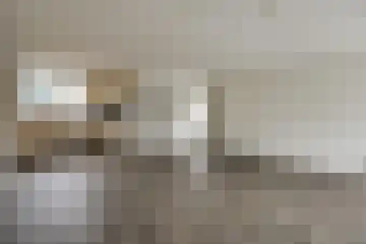 De Goorn 19 De Goorn thumbnail 11