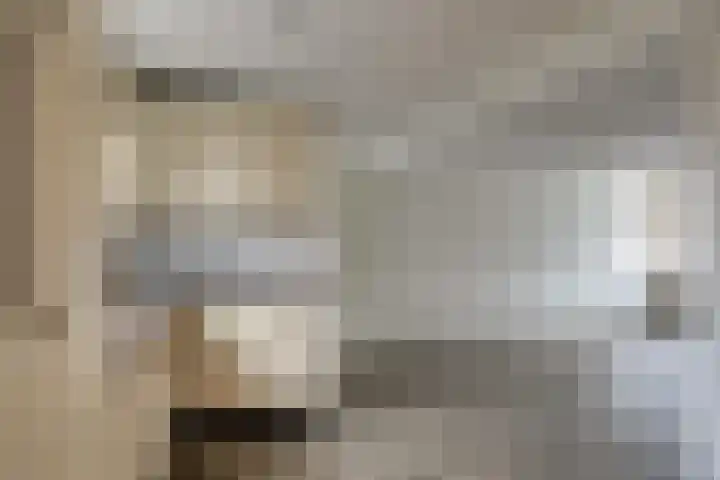 De Goorn 19 De Goorn thumbnail 13