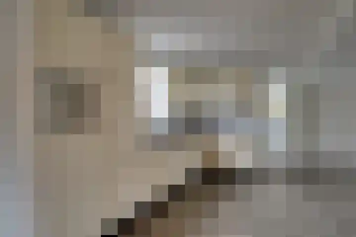 De Goorn 19 De Goorn thumbnail 14