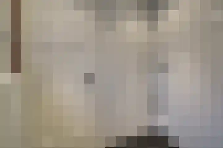 De Goorn 19 De Goorn thumbnail 17