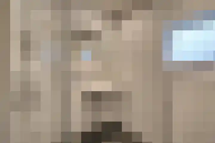 De Goorn 19 De Goorn thumbnail 19