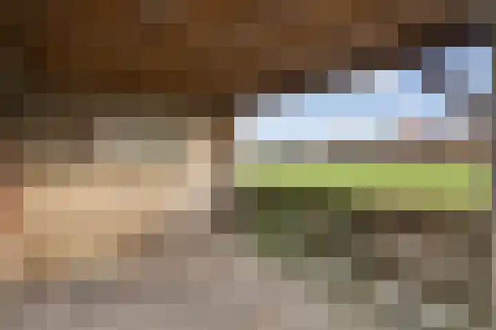 De Goorn 19 De Goorn thumbnail 26