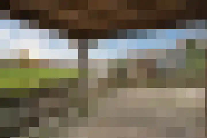 De Goorn 19 De Goorn thumbnail 27