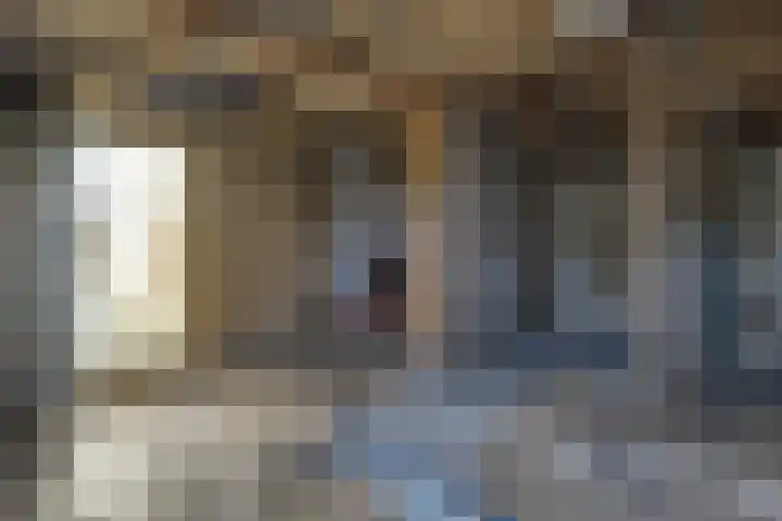 De Goorn 19 De Goorn thumbnail 28