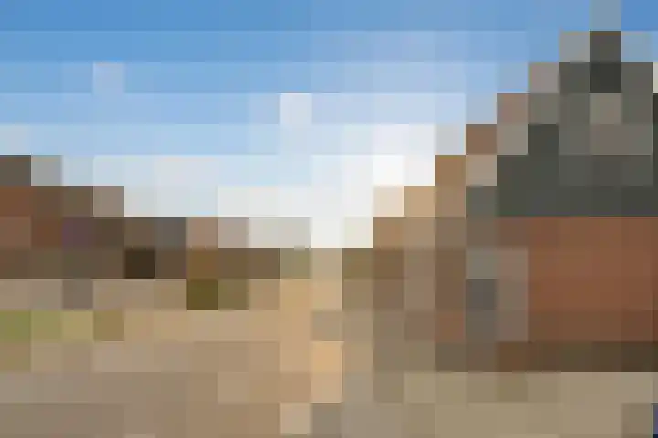 De Goorn 19 De Goorn thumbnail 33