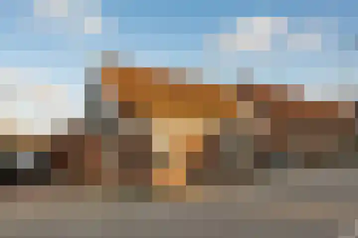 De Goorn 19 De Goorn thumbnail 36